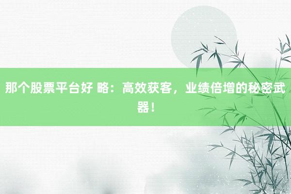 那個(gè)股票平臺(tái)好 略：高效獲客，業(yè)績(jī)倍增的秘密武器！
