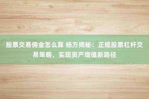 股票交易傭金怎么算 楊方揭秘：正規(guī)股票杠桿交易策略，實現(xiàn)資產(chǎn)增值新路徑