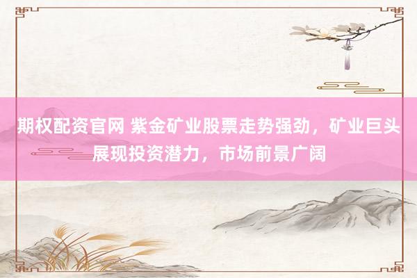 期權(quán)配資官網(wǎng) 紫金礦業(yè)股票走勢強(qiáng)勁，礦業(yè)巨頭展現(xiàn)投資潛力，市場前景廣闊