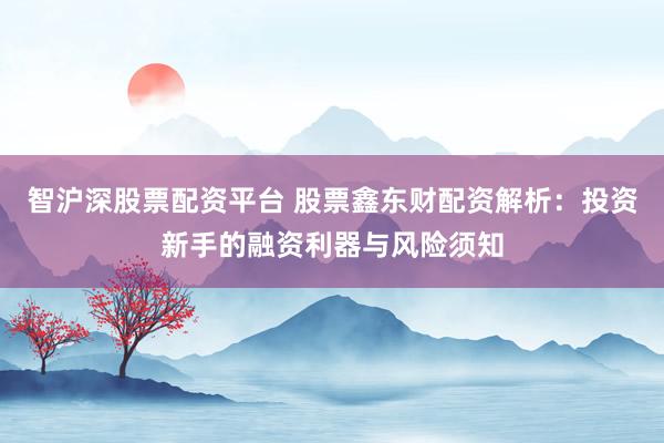 智滬深股票配資平臺 股票鑫東財配資解析：投資新手的融資利器與風險須知