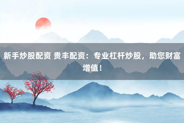 新手炒股配資 貴豐配資：專業(yè)杠桿炒股，助您財富增值！