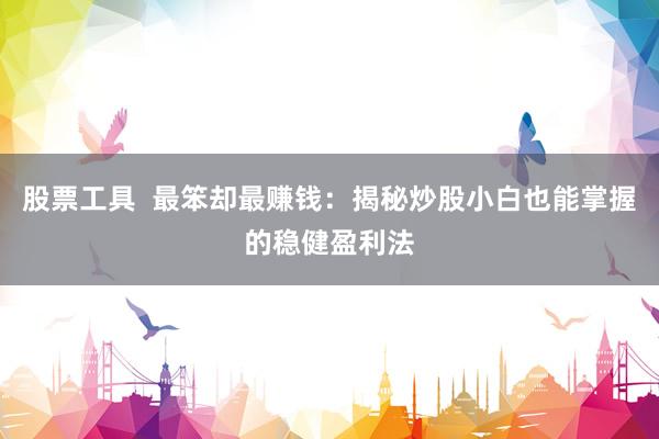股票工具  最笨卻最賺錢：揭秘炒股小白也能掌握的穩(wěn)健盈利法